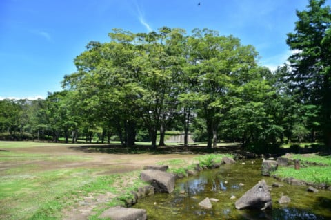 公園